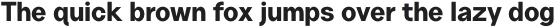 Neuething Sans ExtraBold otf (100)