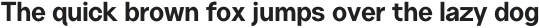 Neuething Sans Bold otf (100)