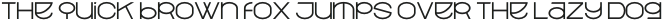 Leine Sans Light otf (300)