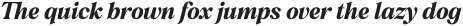Polarity Bold Italic otf (700) Sample