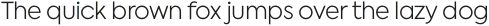 Hemenix Light otf (300)