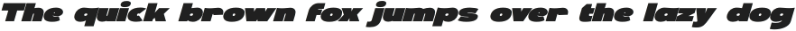PERFORMGENERIC-Italic otf (400)
