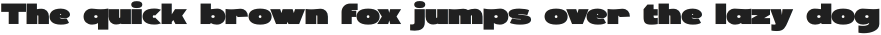 PERFORMGENERIC-Regular otf (400)