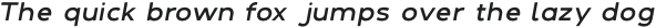DelRay Italic Heavy otf (800)