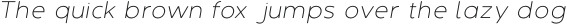 DelRay Italic Thin otf (100)