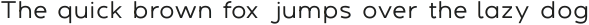 DelRay- Variable ttf (400)