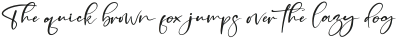 Pitchy Signature Italic ttf (400)