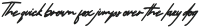 Ethan Signature Italic otf (400)