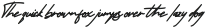 Little Theory Italic otf (400)