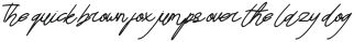 Aiden sign Italic otf (400)