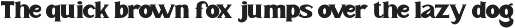 Mister Saefudin - Elegant Serif Font preview