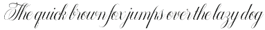 Radja Lover Script preview