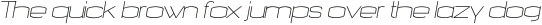 Nalom Light Italic otf (300)