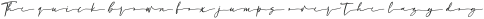 ClaudioWingsendswash otf (400)