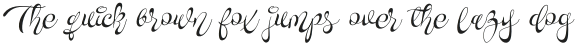 Novety Script Italic otf (400)