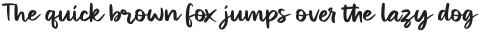 Miraikato Script Regular otf (400)
