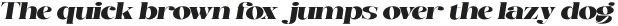 GibsonSerif-Italic otf (400)