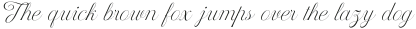 DelightedSunrise-Regular otf (300)