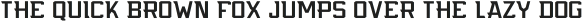 Flyer Light otf (300)