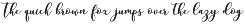 Mottona Bold Script preview