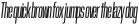 GGX89 Crammed Book Italic otf (400)