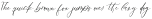 Fall Ember Script Regular otf (400)