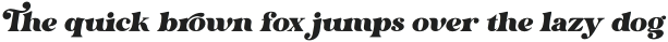 Dorige-Italic otf (400)