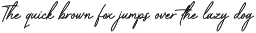 Capetown Signature - Stylish Font preview