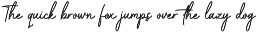 Capetown Signature - Stylish Font preview