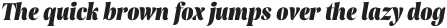 Rasbern Black Italic otf (900)