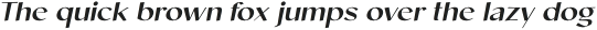 Cicada Medium Italic otf (500)