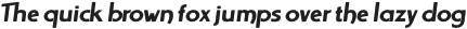 Arrondi Bold Italic otf (700)