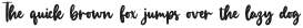 Manlyscript otf (400)