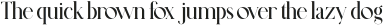 Oruguitas otf (400)