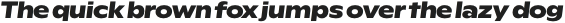 Rioma ExtraBold Nord Italic otf (700)