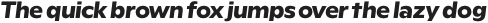 Rioma Bold Italic otf (700)