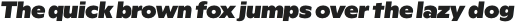 Rioma Black Italic otf (900)