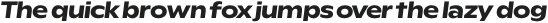 Rioma Bold Nord Italic otf (700)