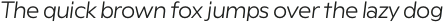 Rioma Light Italic otf (300)