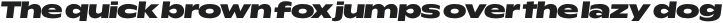 Rioma Black Wide Italic otf (900)