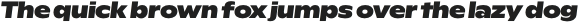 Rioma Black Nord Italic otf (900)