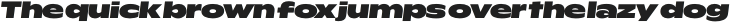 Rioma Heavy Wide Italic otf (800)