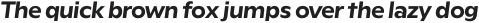 Rioma SemiBold Italic otf (600)
