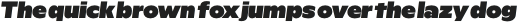 Rioma Heavy Italic otf (800)