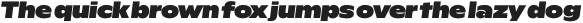 Rioma Heavy Nord Italic otf (800)
