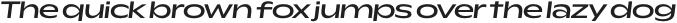 Rioma Medium Wide Italic otf (500)