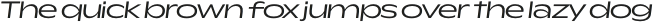 Rioma Regular Wide Italic otf (400)