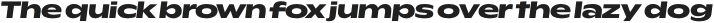 Rioma ExtraBold Wide Italic otf (700)