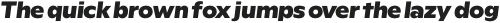 Rioma ExtraBold Italic otf (700)
