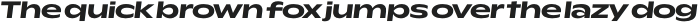 Rioma Bold Wide Italic otf (700)